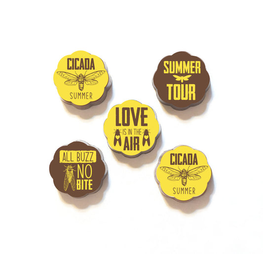 2024 Cicada Summer Tour - Limited Edition Chocolate Covered Caramels