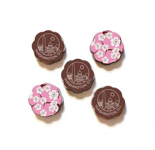 Washington DC Skyline and Cherry Blossoms