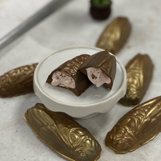 Large Molded Cicada - Marshmallow Filled - No Bugs