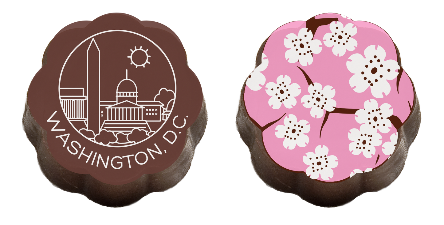 Washington DC Skyline and Cherry Blossoms