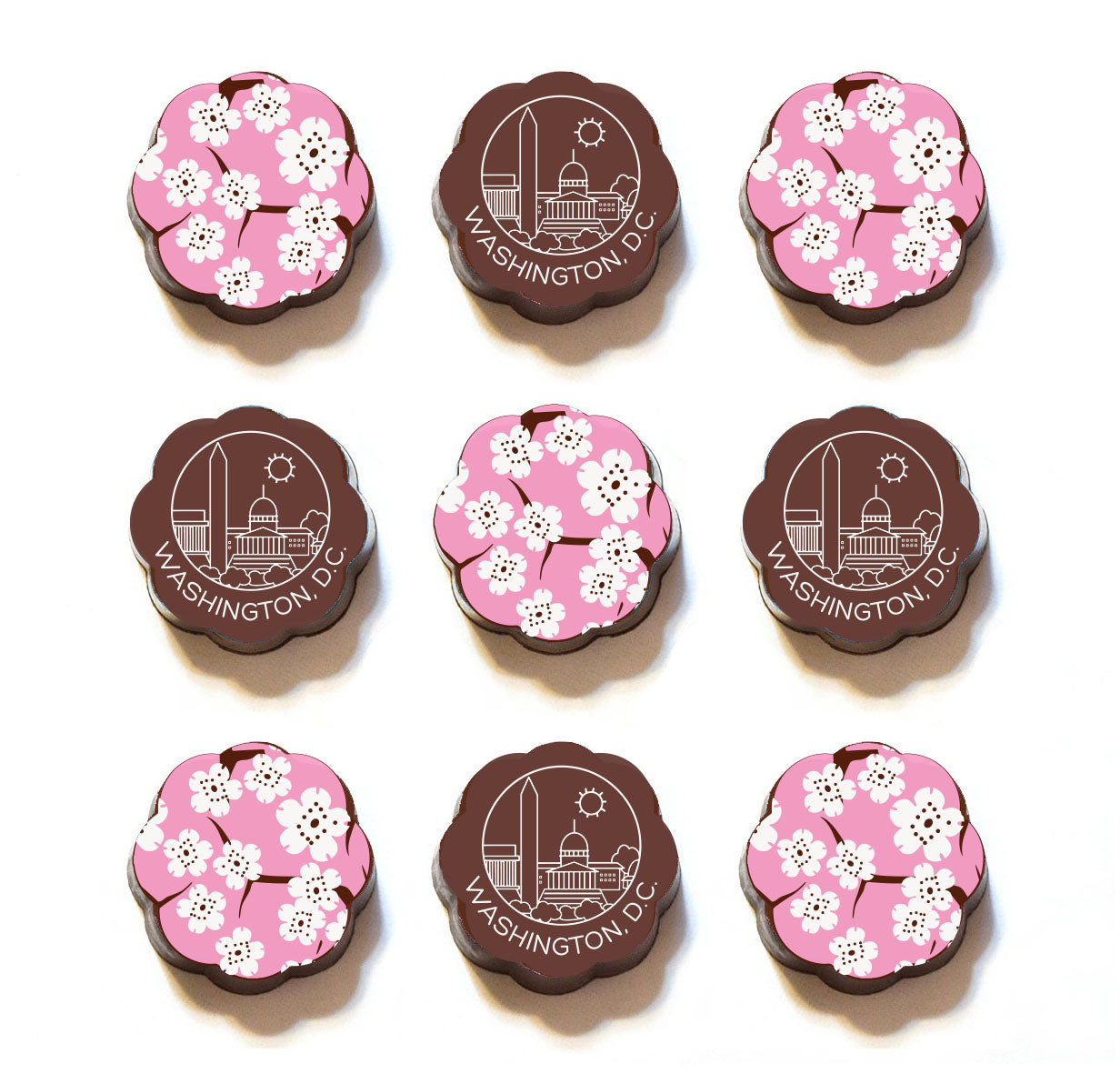 Washington DC Skyline and Cherry Blossoms